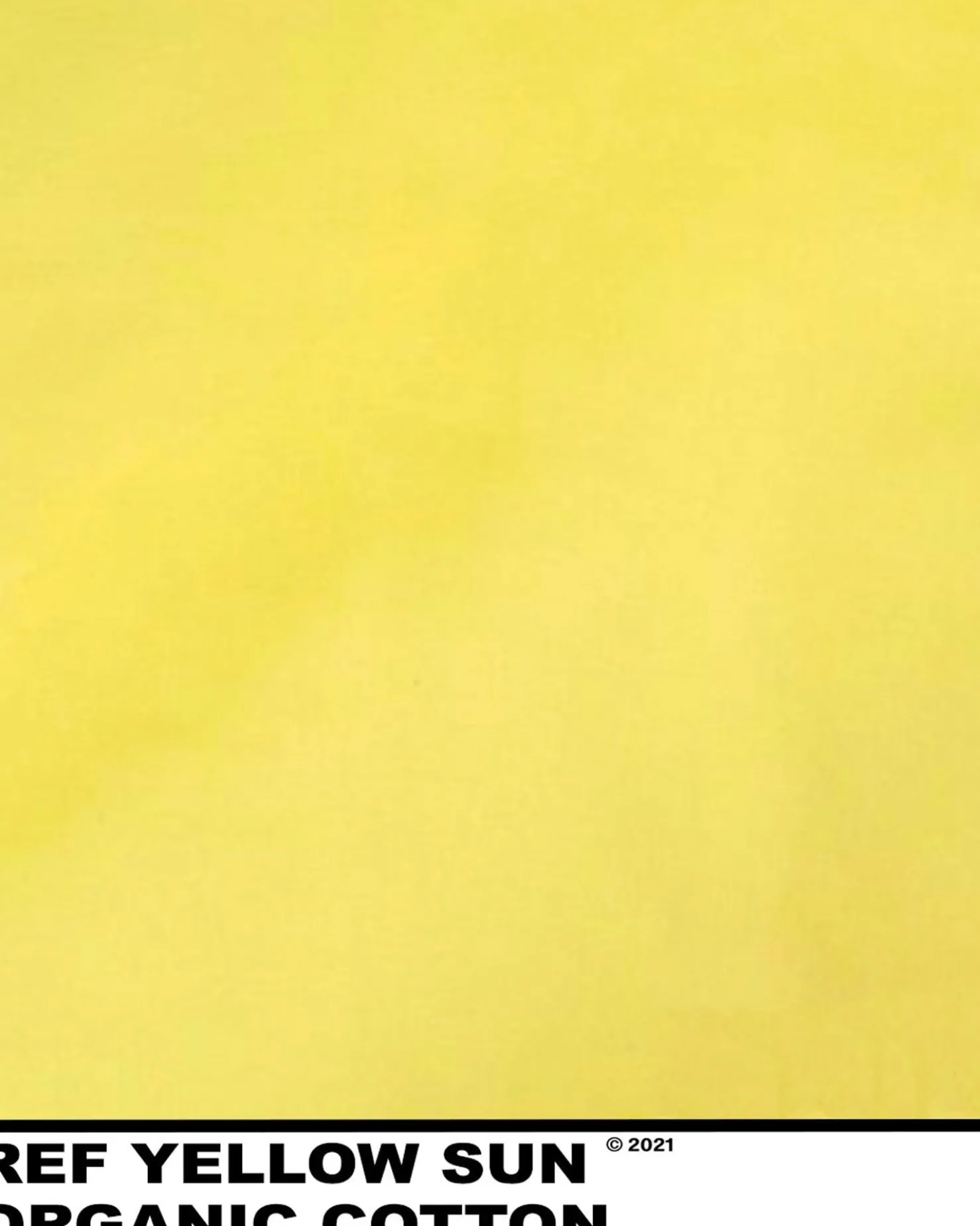 MaisonCléo Blouses>Blouse en coton colorée JULIE